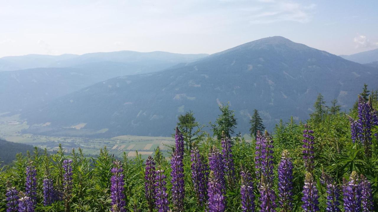 Villa Mountain View With Waterbed Sankt Michael im Lungau Exterior foto
